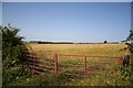 Farmland near Swallow