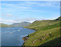L7864 : View south east down Killary Harbour by Espresso Addict