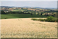 Crediton Hamlets: above Hookway