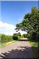 Private track to Cowlinge Hall