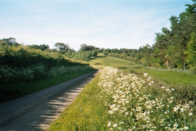 Lane by Potter's Hill