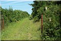 Footpath Southeast of Eglwysbach