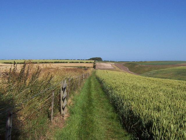 Wolds Way running parallel to Raven Dale