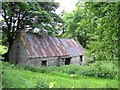 Ruin at Carnanrancy