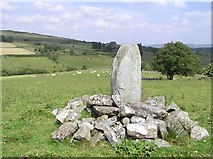 H6183 : Ogham Stone, Aghascrebagh by Kenneth  Allen