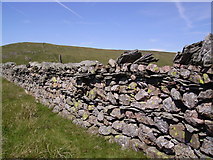 NY5307 : Wall. Little Yarlside by Michael Graham