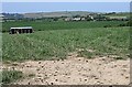 Sheep Pasture and Carclaze Farm