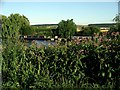 Narrowboats on the Trent