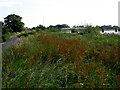 The Trans-Pennine Trail Through Skelton