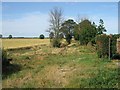 The Bridleway from Skelton