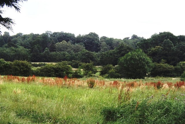 Countryside south of Pluckley