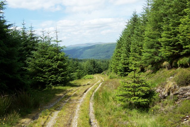 Forestry Road above Hell's Glen