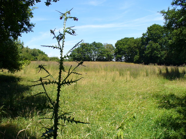 Wealden Landscape east of Lodsworth.