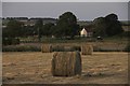 Hay Bales near Dodder Carr