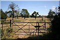 Manor Farm pasture