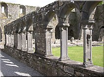 S5740 : The carved cloister arches, Jerpoint Abbey, Thomastown, Co. Kilkenny by Humphrey Bolton