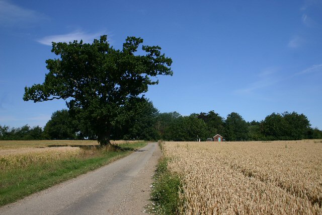 Track to Great Lodge Farm