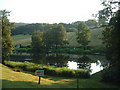 The Fedw Pool, Late Evening