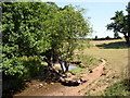 Hillside field, with stream.