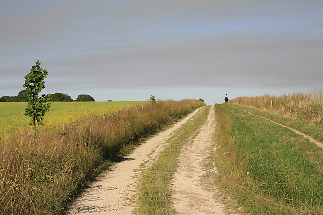 Private track on Whitsbury Down, south of Round Clump