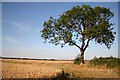 Farmland near Thorpe-le-Fallows