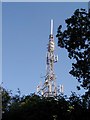 Landmark mast