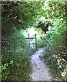 Footpath off Buttercup Lane