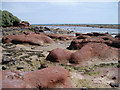 NT6381 : Red Rocks by Eileen Henderson