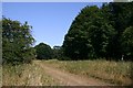 Track at Westgouch Plantation