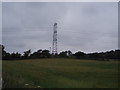 Pylons near Dunipace