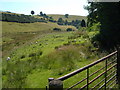 Nant Llys valley at Wern-y-Glyn