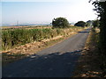 The Lane at Broomley Fell