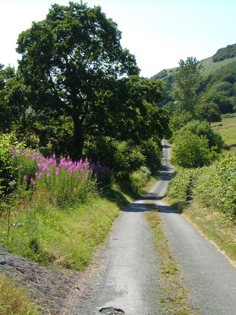 Lane at Gwern y Glyn