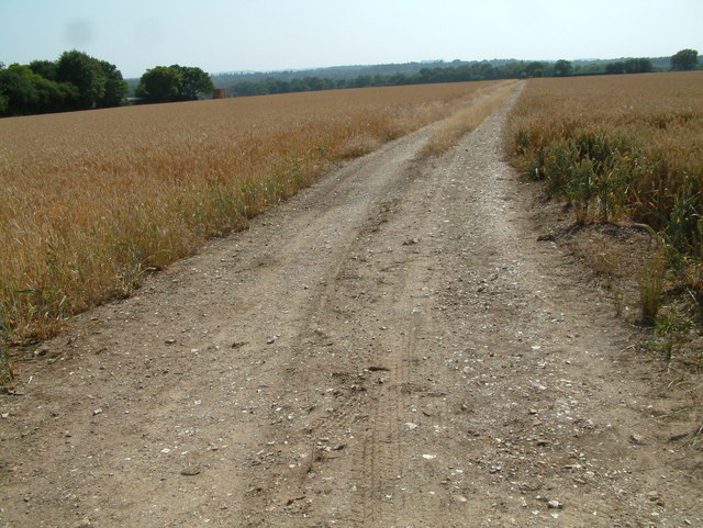 Farm Track, South of Pitton