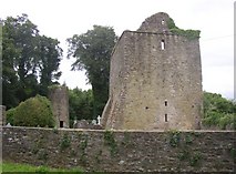 S4935 : Aghaviller ruined church and round tower, Newmarket, Co. Kilkenny by Humphrey Bolton