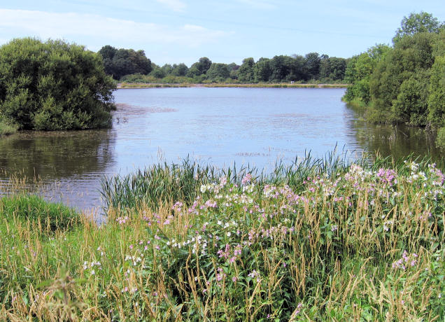 Appleton Reservoir © Alan Godfree Cc-by-sa 2.0 :: Geograph Britain And 