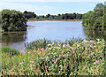 Appleton reservoir