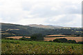 South Tawton: towards Belstone Cleave