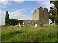 S2331 : Ruined church near Kiltinan Castle, Co. Tipperary by Humphrey Bolton