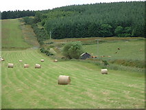 NH5762 : Sheep fold above Lemlair farm by Brian MacLennan