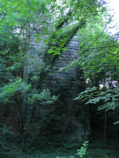 Overgrown column of disused viaduct near Ffrith