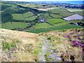 SC2071 : Fleshwick farm from Bradda Hill, Isle of Man by kevin rothwell