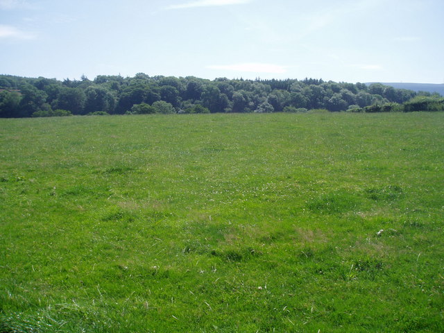 Pasture