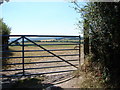 Gate & field near Llanfihangel-y-Creuddyn