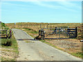SN6976 : Cattle grid at Banc Blaen Magwr by John Lucas