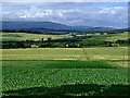 A View from the Strath Conon Road