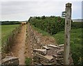 Footpath behind the Supermarket