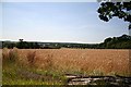 View from Thornbury Hill