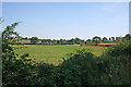 SK7000 : Farmland near Gaulby, Leicestershire by Kate Jewell