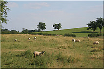 SK7603 : Farmland off Loddington Road by Kate Jewell
